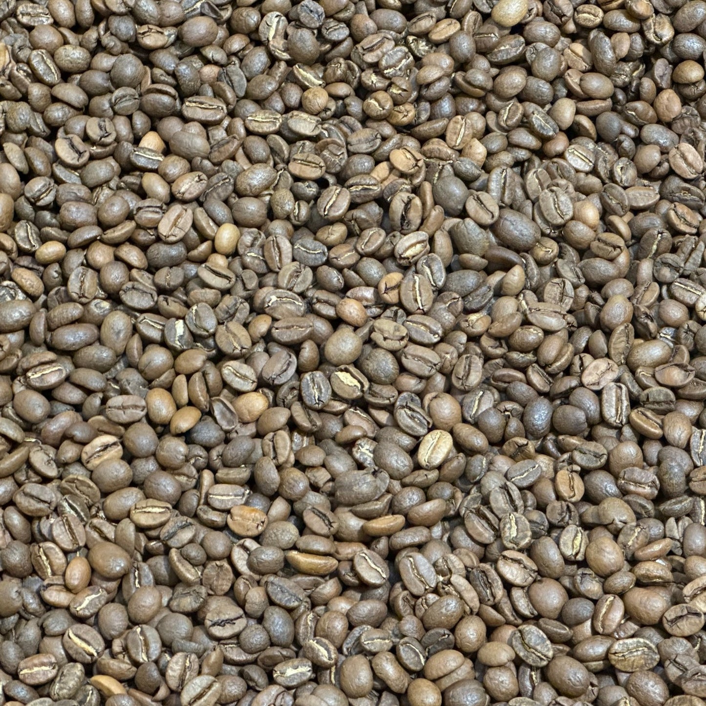 Washington Blend (Medium Roast)