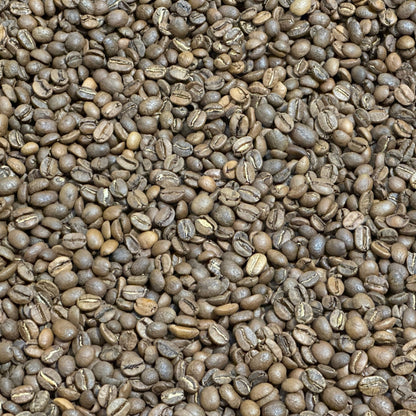 Washington Blend (Medium Roast)